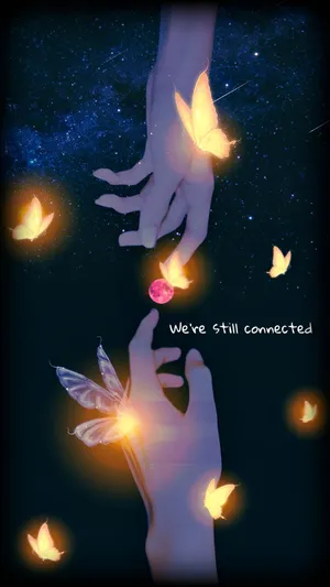 Love Butterfly Connection Wallpaper