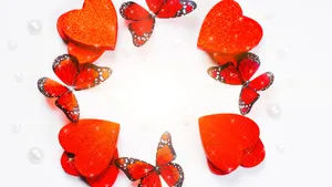 Love Butterfly Heart Circle Wallpaper