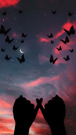 Love Butterfly Night Sky Wallpaper