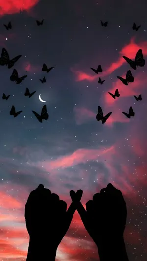 Love Butterfly Night Sky Wallpaper