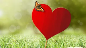 Love Butterfly On Heart Wallpaper