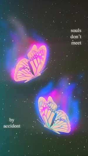 Love Butterfly Souls Dont Meet Wallpaper