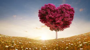 Love Grows Brighter With Each Passing Day. Wallpaper