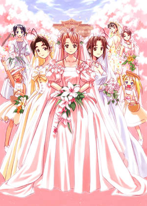 Love Hina Bridal Outfits Wallpaper