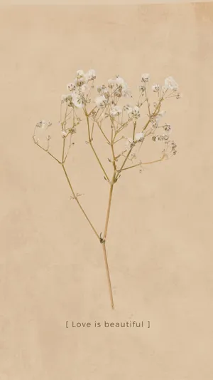 Love Is Beautiful Dried Flowers Artwork Wallpaper