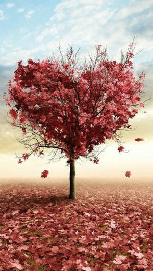 Love Takes Root Deep In The Fall Wallpaper