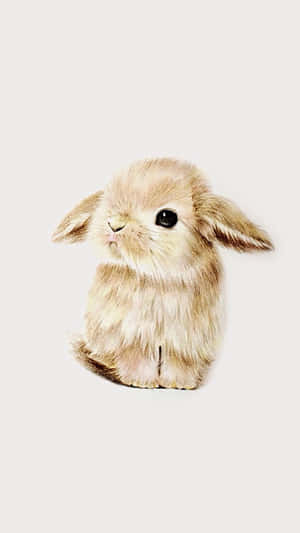 Love This Cute Bunny Iphone Wallpaper Wallpaper