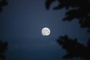 Low Angle View Of Aesthetic Moon Wallpaper