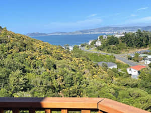 Lower Hutt Coastal View New Zealand Wallpaper