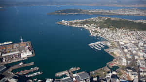 Lower Hutt's Serene Landscape Wallpaper