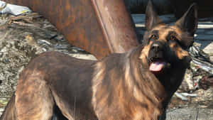 Loyal Companion - Dogmeat In Fallout 4 Wallpaper