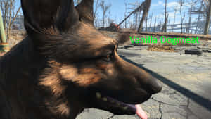 Loyal Companion In The Wasteland Wallpaper