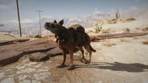 Loyal Companion In The Wasteland - Dogmeat From Fallout 4 Wallpaper