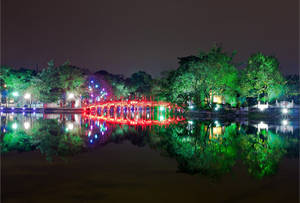 Luminous Garden Tree In Hanoi Wallpaper