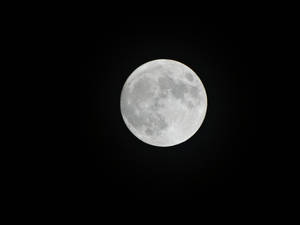 Luminous White Moon Desktop Wallpaper