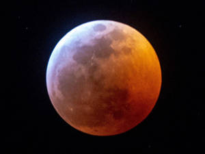 Lunar Eclipse Closeup View Wallpaper