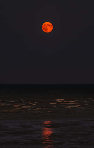 Lunar_ Eclipse_ Over_ Ocean Wallpaper