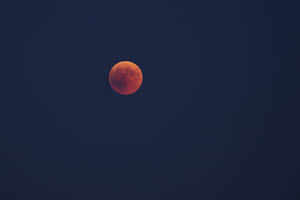 Lunar Eclipse Red Moon Wallpaper