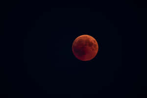 Lunar_ Eclipse_ Red_ Moon Wallpaper