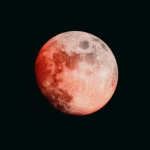 Lunar_ Eclipse_ Red_ Moon Wallpaper