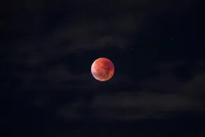 Lunar Eclipse Red Moon Night Sky Wallpaper