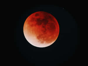 Lunar_ Eclipse_ Red_ Moon Wallpaper