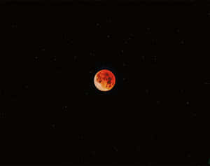 Lunar Eclipse Red Moon Starry Sky Wallpaper