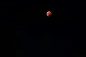 Lunar_ Eclipse_ Red_ Moon Wallpaper