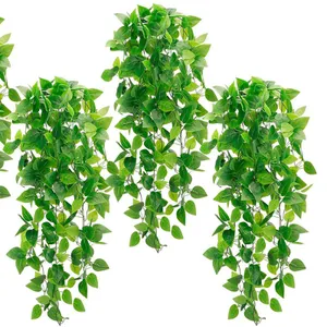 Lush And Vibrant Green Plant Wallpaper