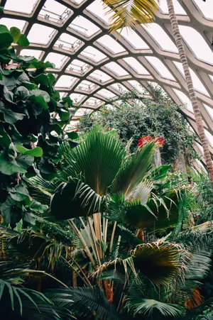 Lush Botanical Garden Escape Wallpaper