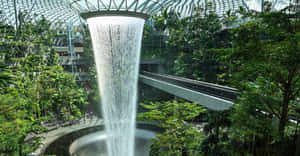 Lush Botanical Garden In Full Bloom Wallpaper