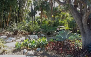 Lush Botanical Garden In Full Bloom Wallpaper