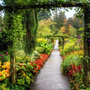 Lush Botanical Garden Pathway Wallpaper