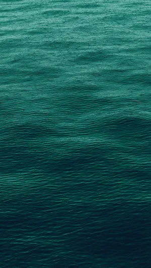 Lush Emerald Green Forest Wallpaper