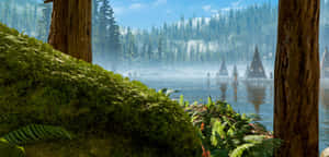 Lush Forest Of Endor Wallpaper