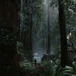 Lush Forests Of Planet Endor Wallpaper