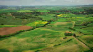 Lush Green Farmland Landscape Wallpaper