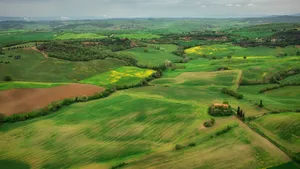 Lush Green Farmland Landscape Wallpaper