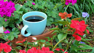 Lush Green Plant In Its Natural Habitat Wallpaper