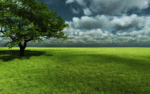 Lush Green Scenic Landscape Wallpaper