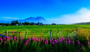 Lush Green Spring Fields With Blue Skies And Rolling Hills Wallpaper