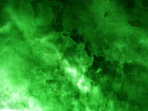 Lush Green Texture Wallpaper