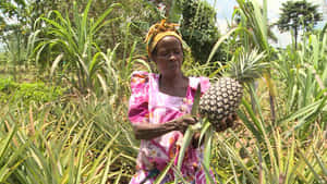 Lush Organic Farmland With A Healthy Vegetable Garden And A Windmill Wallpaper