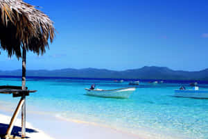 Lush Spring Landscape In Bloom On Vacation Wallpaper