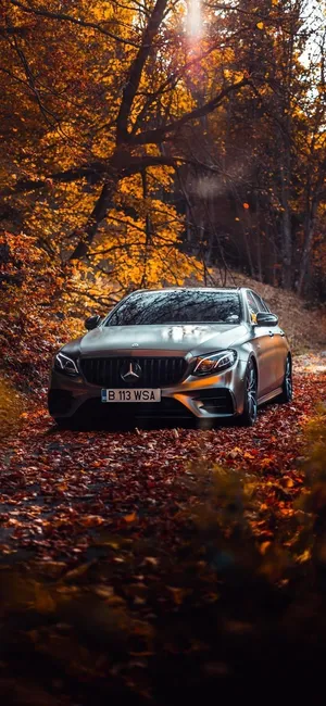 Luxurious Drive With Mercedes In Autumn - Iphone X Wallpaper Wallpaper