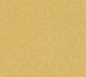 Luxurious Plain Gold Textured Wallpaper Wallpaper