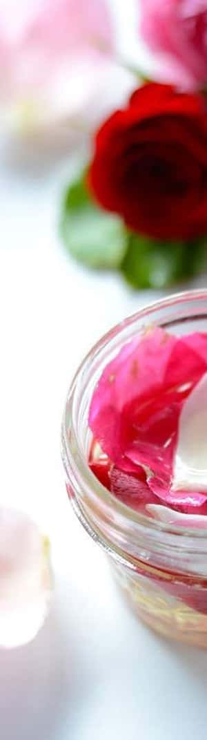 Luxurious Rose Oil In A Glass Dropper Bottle With Fresh Red Roses Wallpaper