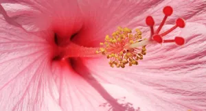 Luxurious Sportscar On Dark Steel Background Wallpaper