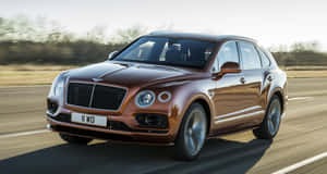 Luxury On Wheels - Bentley Bentayga Suv Wallpaper