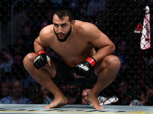 M M A Fighter Crouchingin Octagon Wallpaper